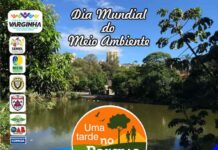 Dia Mundial do Meio Ambiente será comemorado no Parque Novo Horizonte Dia Mundial do Meio Ambiente