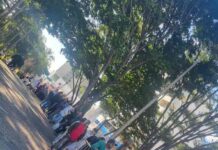 Ingressos gratuitos para a Feira da Paz em Varginha são limitados a três por pessoa Fila para troca de ingressos da Feira da Paz em Varginha