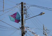 Acidentes com Pipas já prejudicaram milhares de pessoas no primeiro semestre de 2023 pipa nos fios