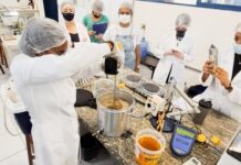 Cerveja com Ciência: Projeto da Unifal-MG realiza Oficina “Princípios da Produção Cervejeira” em Alfenas Cerveja com Ciência