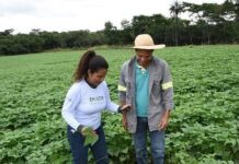 Programa garantia Safra tem inscrições abertas em Minas Gerais Programa Garantia Safra Minas Gerais