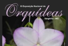 Estação Ferroviária de Varginha recebe XI Exposição Nacional de Orquídeas XI Exposição Nacional de Orquídeas