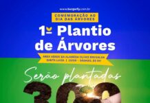 300 Mudas de Árvores serão plantadas em Varginha em comemoração ao Dia da Árvore Prefeitura de Varginha anuncia plantio de árvores em comemoração ao Dia da Árvore