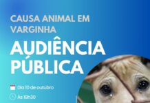 Causa Animal será tema de audiência pública na Câmara de Varginha Causa Animal varginha