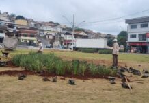 Projeto de Paisagismo tem início na Rotatória do Santa Maria Projeto de Paisagismo na Rotatória do Santa Maria