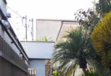 Veja onde passa o Carro do Fumacê nos próximos dias em Varginha fumacê dengue varginha
