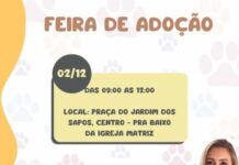 Cãominhada e Feira de Adoção acontecem neste sábado Feira de adoção