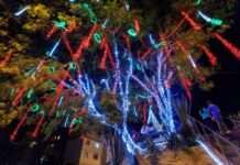 Vai fazer sua decoração de Natal? Veja as dicas para evitar acidentes com a rede elétrica dicas cemig decoração natalina
