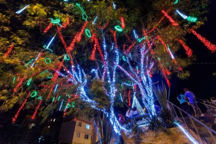 dicas cemig decoração natalina dicas cemig decoração natalina
