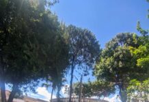 Praça João Pessoa recebe melhorias Praça Joao Pessoa Varginha recebe melhorias