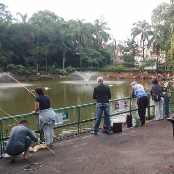 domingo de pesca Parque Novo Horizonte Varginha 2024 domingo de pesca Parque Novo Horizonte Varginha 2024