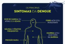 SUS: vacinação contra a dengue começa em fevereiro, em 521 municípios vacinação dengue sus