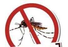 Mutirão de fiscalização de combate a dengue acontece nesta quinta no bairro Corcetti multirão mosquito da dengue