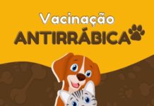 Vacinação Antirrábica continua neste domingo na Zona Rural de Varginha vacinação antirabica varginha 2024 zona rural
