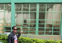 Projeto Paleta de Cores chega ao Parque Zoobotânico