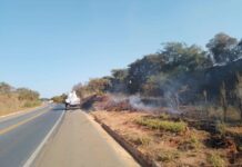EPR Vias do Café combate 59 incêndios às margens das rodovias incêndio Divulgação Vias do Café