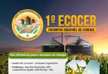 Vem aí o 1º Encontro Cocatrel de Cereais 1º Encontro Cocatrel de Cereais (ECOCER)