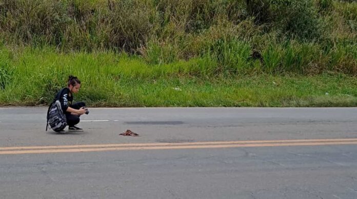 Danna Ferreira coletando os dados. (Foto: Arquivo Pessoal)