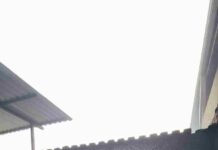 Incêndio em casa no bairro São Francisco pode ter sido criminoso incêndio são francisco varginha