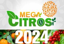 Vem aí a Mega Citros 2024, a maior feira técnica de Citricultura de Minas Gerais Mega Citros 2024