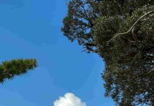 Mochileiros de Minas: varginhenses conquistam Pico das Agulhas Negras Mochileiros de Minas Pico das Agulhas Negras