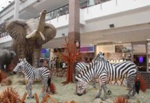 Exposição “SmartZoo” com réplicas de animais em tamanho real é atração gratuita no Shopping em Varginha Exposição SmartZoo Café Shopping Center Varginha