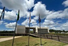 Inscrições para bolsistas em Programa de Incubação da UFLA terminam amanhã Universidade Federal de Lavras