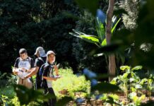 Trekking do Conhecimento acontece neste sábado (7), inscrições abertas e gratuitas trekking do conhecimento varginha
