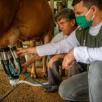 ER07 faz balanço de 2024 e projeções para o agro em 2025 Escritório Regional no Sistema Faemg Senar prevê alta para café e carne, veja o balanço de 2024 e projeções para o agro em 2025 pela ER07.