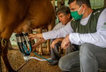 ER07 faz balanço de 2024 e projeções para o agro em 2025 Escritório Regional no Sistema Faemg Senar prevê alta para café e carne, veja o balanço de 2024 e projeções para o agro em 2025 pela ER07.