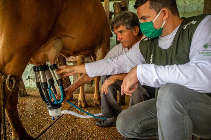 Pecuária Leiteira (2) Escritório Regional no Sistema Faemg Senar prevê alta para café e carne, veja o balanço de 2024 e projeções para o agro em 2025 pela ER07.