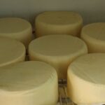 Conheça as diferenças entre QMA, Queijo Minas Frescal, Meia Cura e Padrão Queijos Minas, são muitos: mas você sabe reconhecer as diferenças entre QMA, Queijo Minas Frescal, Meia Cura e Padrão