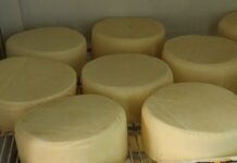 Conheça as diferenças entre QMA, Queijo Minas Frescal, Meia Cura e Padrão Queijos Minas, são muitos: mas você sabe reconhecer as diferenças entre QMA, Queijo Minas Frescal, Meia Cura e Padrão