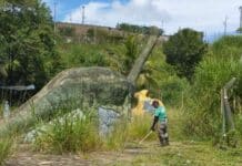 Prefeitura realiza plantio de mudas de árvores no Parque dos Dinossauros A Prefeitura de Varginha está realizando uma ação de plantio de mudas de árvore nessa quarta-feira, 19, no Parque dos Dinossauros.