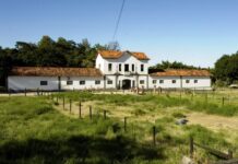 UFMG faz parceria com União Espírita Mineira para transformar fazenda onde trabalhou Chico Xavier em Campus da Universidade Fazenda Pedro Leopolodo