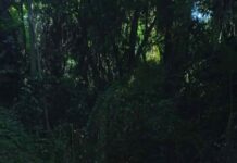 Prefeitura de Varginha alerta para interdição temporária na Mina do Bairro Campos Elíseos Atenção: A Prefeitura de Varginha pede para que as pessoas não **vão** até a Mina do Bairro Campos Elíseos hoje.