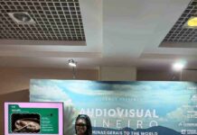 Varginhense representa Minas Gerais em evento internacional de audiovisual no Rio de Janeiro varginhense Idmara Galo