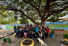 Escola de Campos Gerais transforma arte em ferramenta de conscientização ambiental Escola de Campos Gerais transforma arte em ferramenta de conscientização ambiental