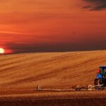 PIB do agronegócio mineiro alcança R$ 235 bilhões em 2024 agro