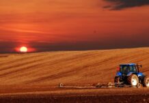 PIB do agronegócio mineiro alcança R$ 235 bilhões em 2024 agro
