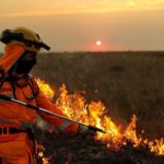 Previsão de inverno chuvoso traz alívio e alerta para produtores rurais Incêndio Plantação