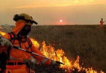Previsão de inverno chuvoso traz alívio e alerta para produtores rurais Incêndio Plantação