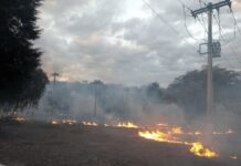 Mais de 46 mil clientes da Cemig foram prejudicados por queimadas até agosto de 2026 incêndio