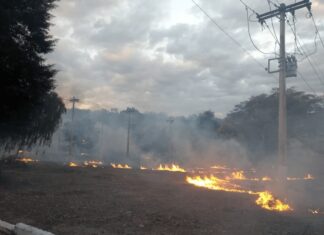 Mais de 46 mil clientes da Cemig foram prejudicados por queimadas até agosto de 2026 incêndio