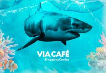 Experiência imersiva “Imerso Mar” continua no shopping de Varginha Cenário subaquático com a experiência imersiva “Imerso Mar” invade o Via Café Shopping Center