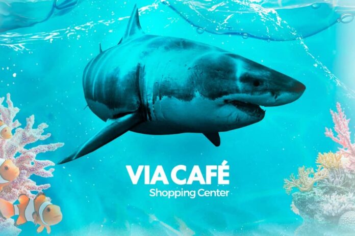 Cenário subaquático com a experiência imersiva “Imerso Mar” invade o Via Café Shopping Center