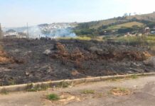 Homem é detido pela GCM de Varginha suspeito de incendiar terrenos no bairro Boa Vista Homem é detido pela GCM de Varginha suspeito de incendiar terrenos no bairro Boa Vista