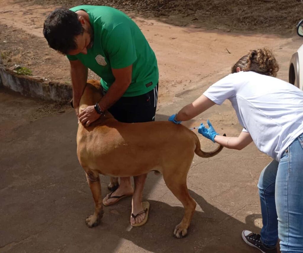 Vacinação Antirrábica Varginha
