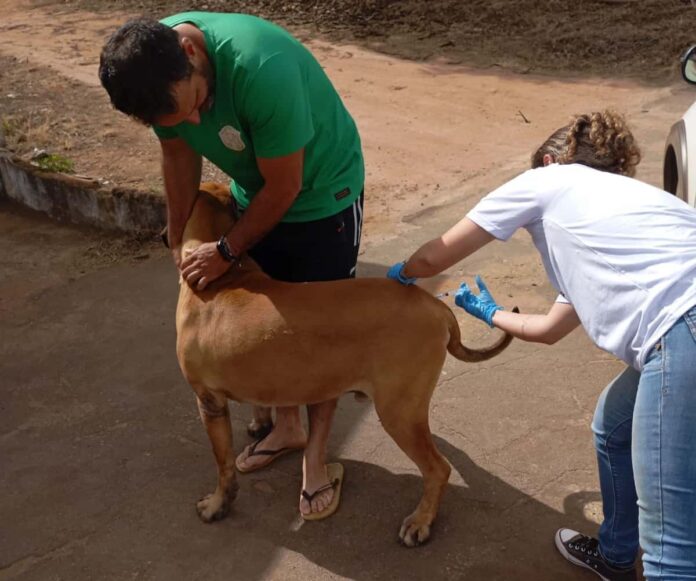 vacinacao-antirabica-varginha Vacinação Antirrábica Varginha