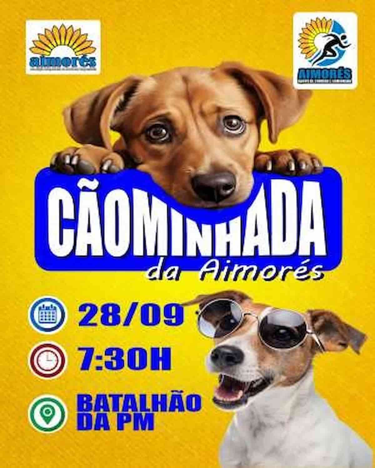 1ª Cãominhada da Aimorés acontece neste domingo em Varginha